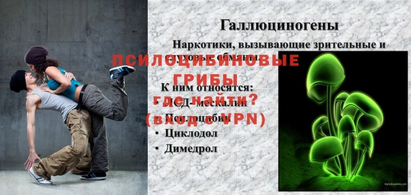 PSILOCYBIN Баксан